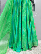 "AQUA ENCHANTRESS INDO-WESTERN" image 3