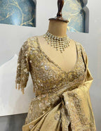 SAREE image 2