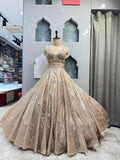 "CHAMPAGNE STARDUST LEHENGA" image 0