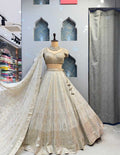 BANARASI LEHENGA image 0