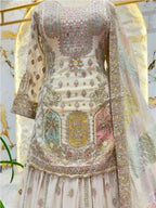 "MULTICOLOUR EMBROIDERED DESIGNER SHARARA"