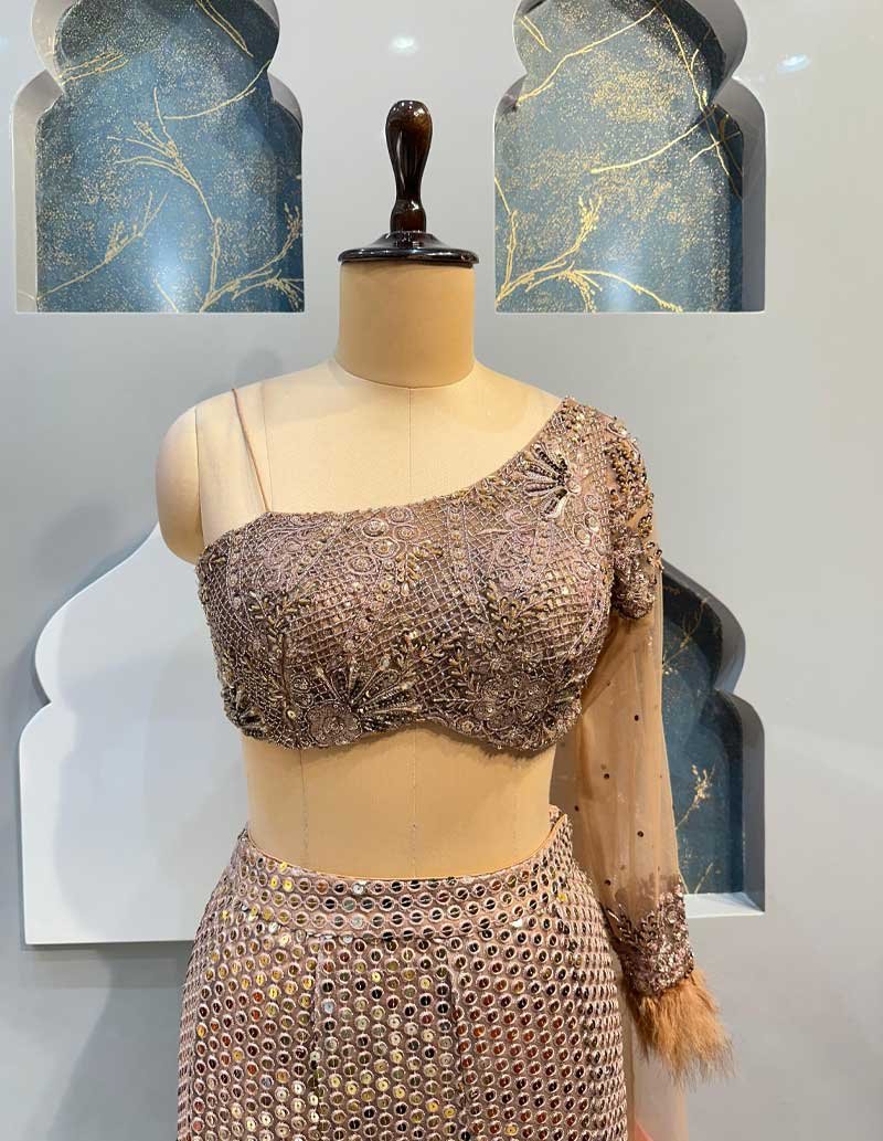 MERMAID image 2