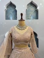 LEHENGA image 1